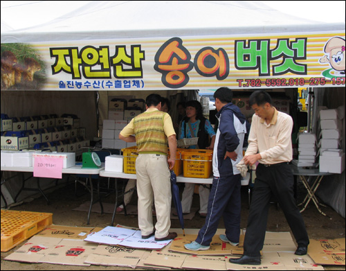 현지에서 바로 송이를 구입할 수도 있고 